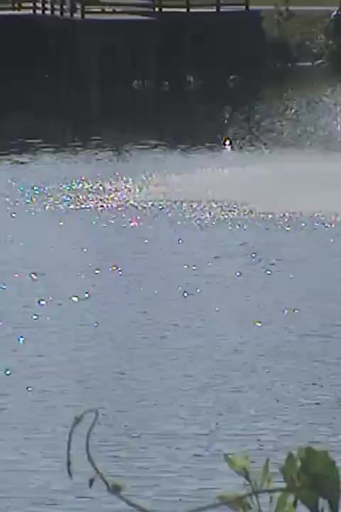 FOUNTAIN
