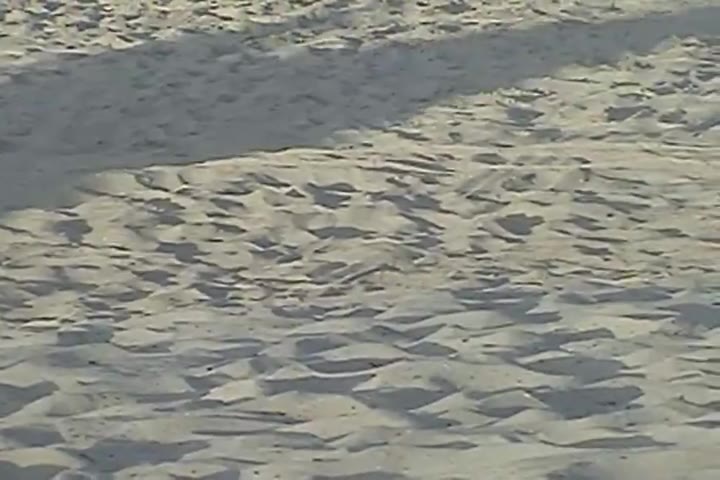 SANDS