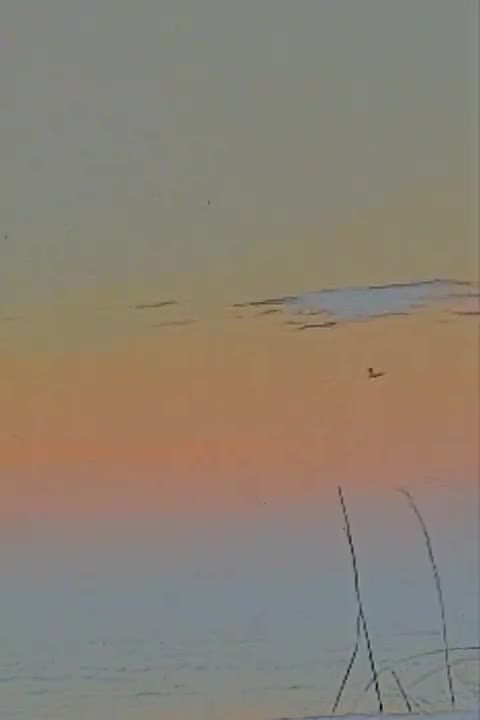 TODAY'S SKY